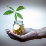 Hand met glazen pot vol munten waar een groene plant uit groeit, symbool voor duurzaam investeren en financiële groei