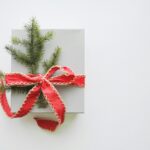Duurzame kerstpakketten voorbeeld: eenvoudige verpakking met rood lint en dennentakje als versiering