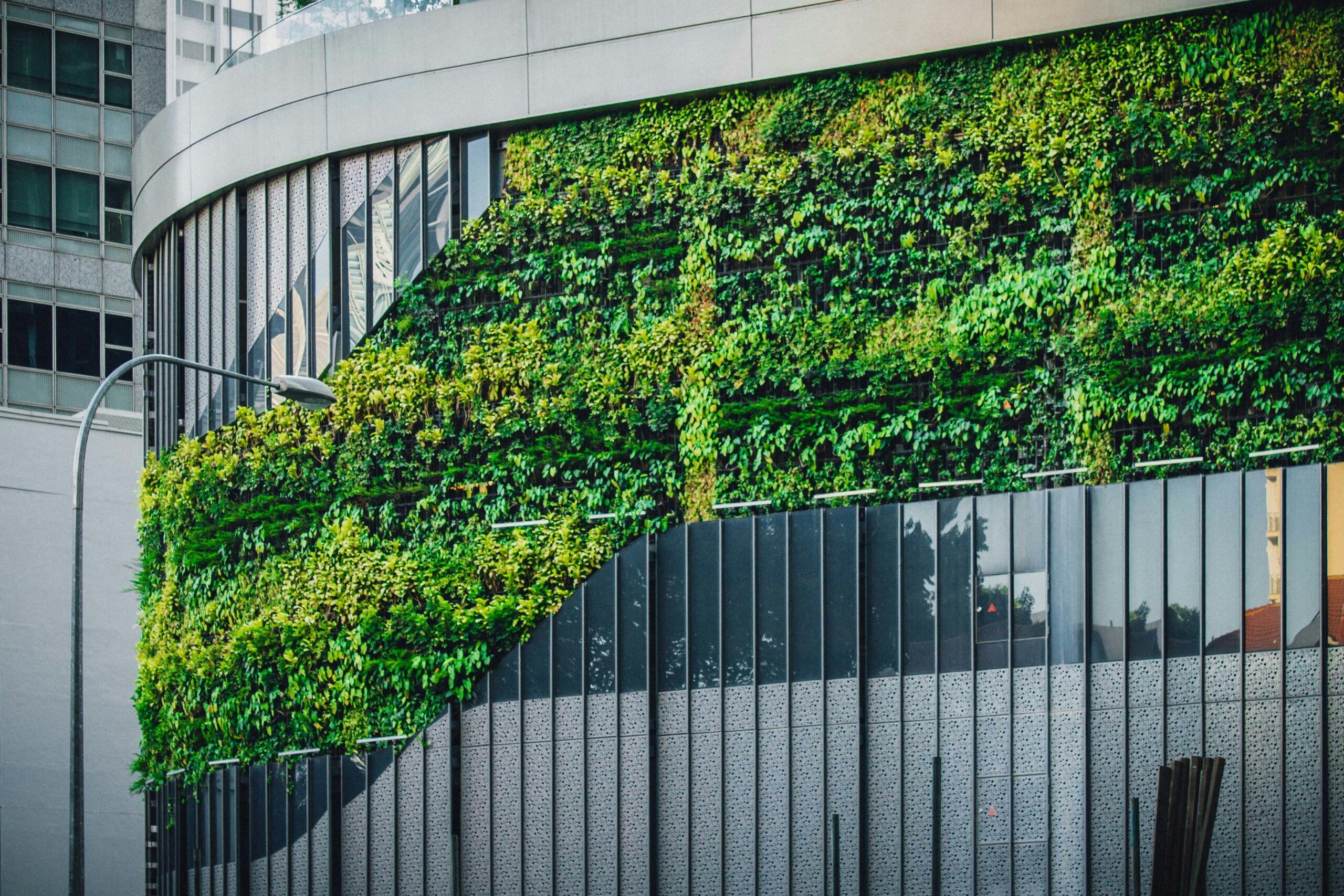 Duurzaam bedrijfspand met zonnepanelen en een groen bedekte muur als voorbeeld van verduurzamen.